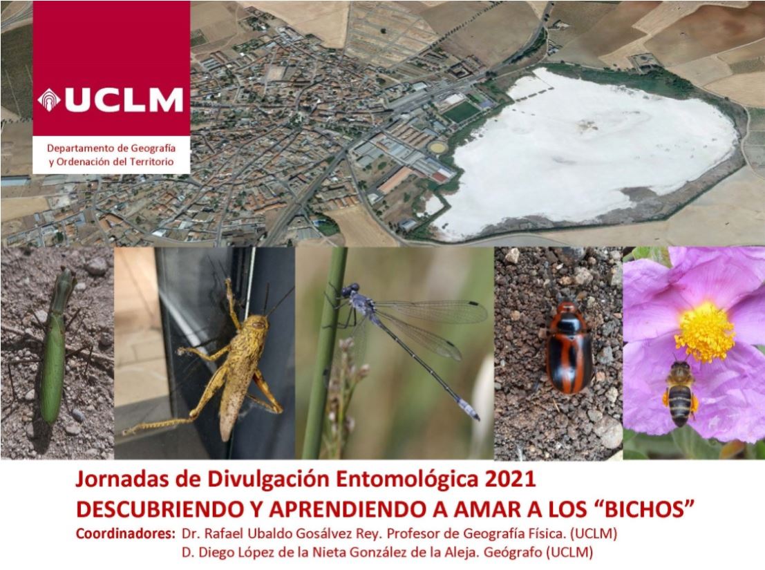 Jornadas de Divulgación Entomológica 2021