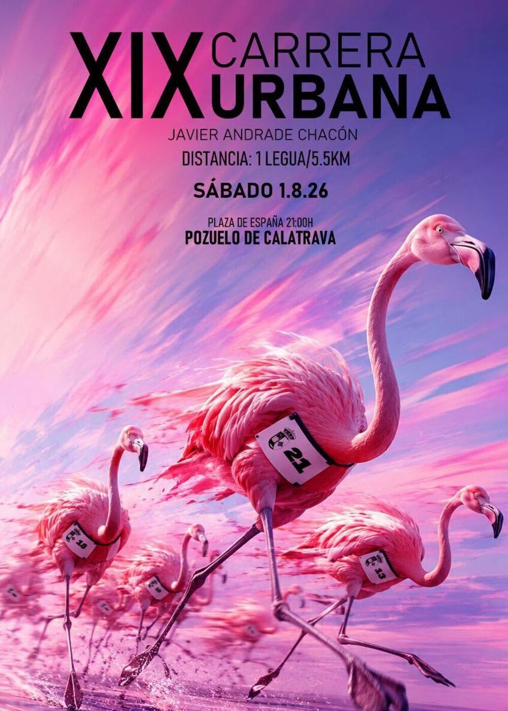 XIX Carrera urbana. Pozuelo de Calatrava.